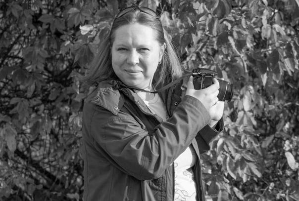 журналист гришкович