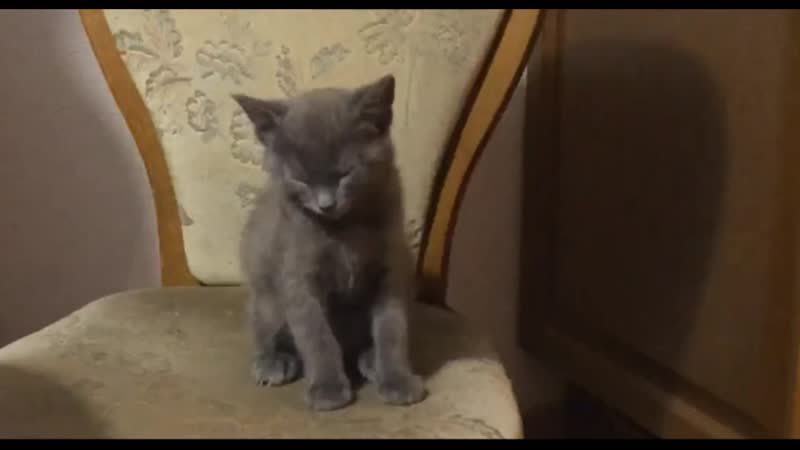Алексей Филимонов