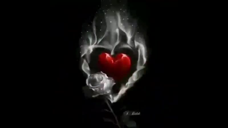 VID_37721204_033936_497.mp4