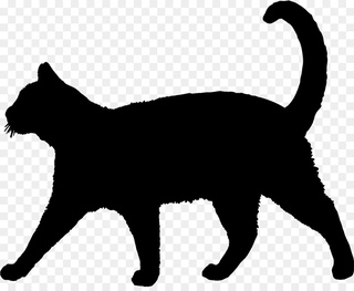 Силуэт кошки