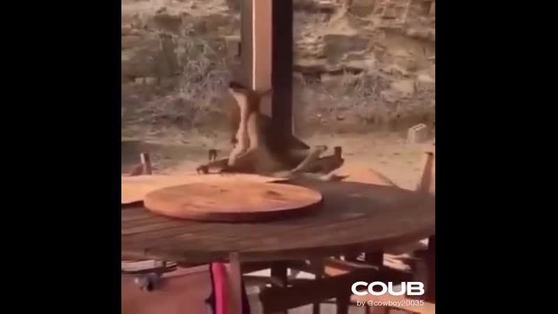 No Fu Table 😂😂😁🤣