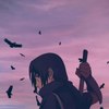 Никита Стречень, Каменец,15 лет