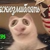 Денис Миронов, Романовка