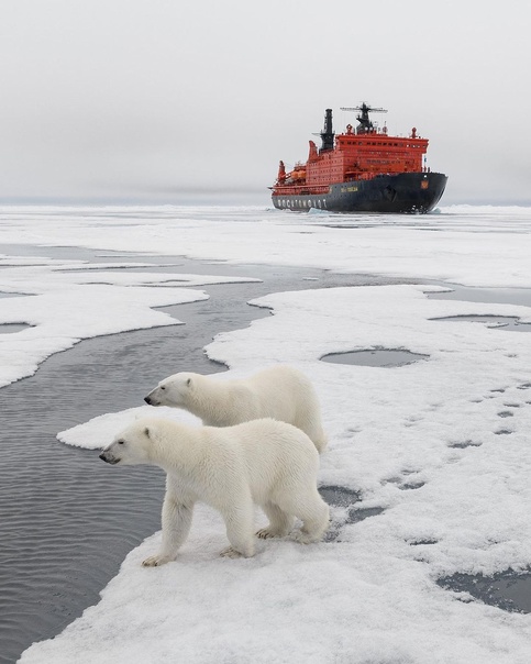 Biodiversity loss: a beginner’s guide Greenpeace UK