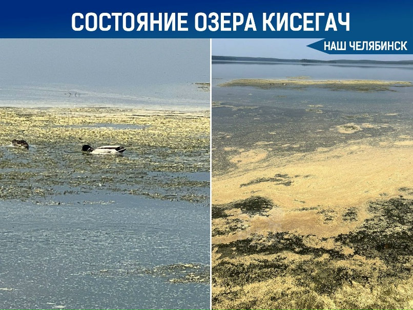 Озеро Малый Кисегач, Сосновский Челябинской области - рыбалка, описание и фото