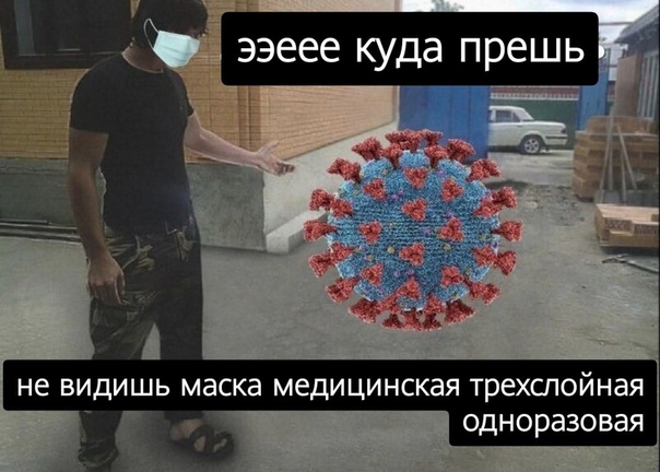 веселые картинки